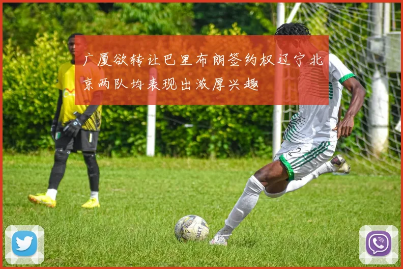 广厦欲转让巴里布朗签约权辽宁北京两队均表现出浓厚兴趣